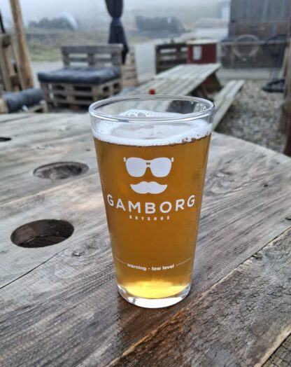 12 x øl glas 40 cl